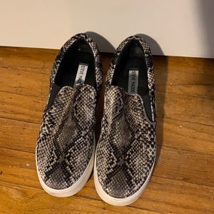 Steve Madden Snake skin sneaker